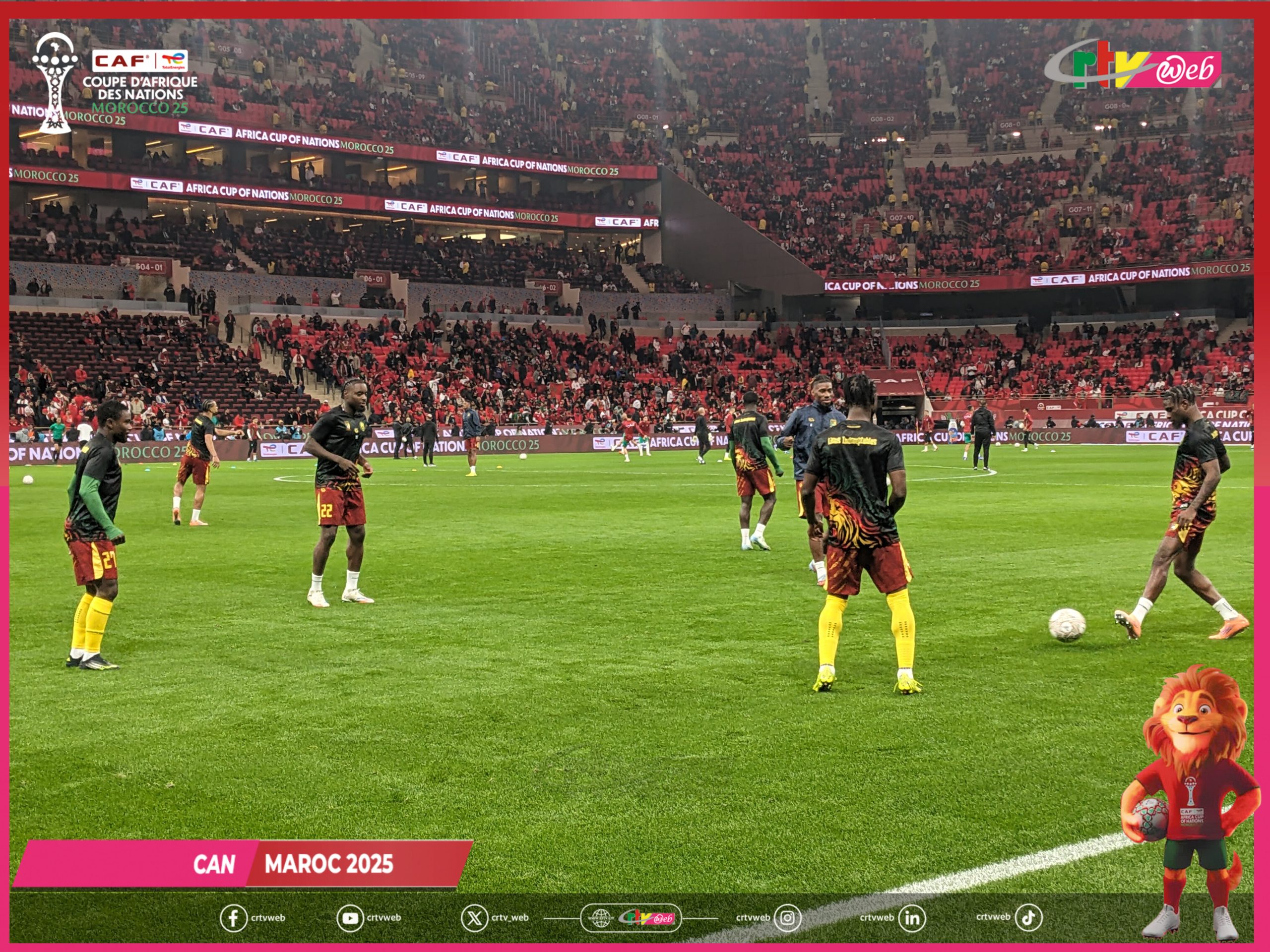 AFCON 2025: Honourable Exit for Indomitable Lions